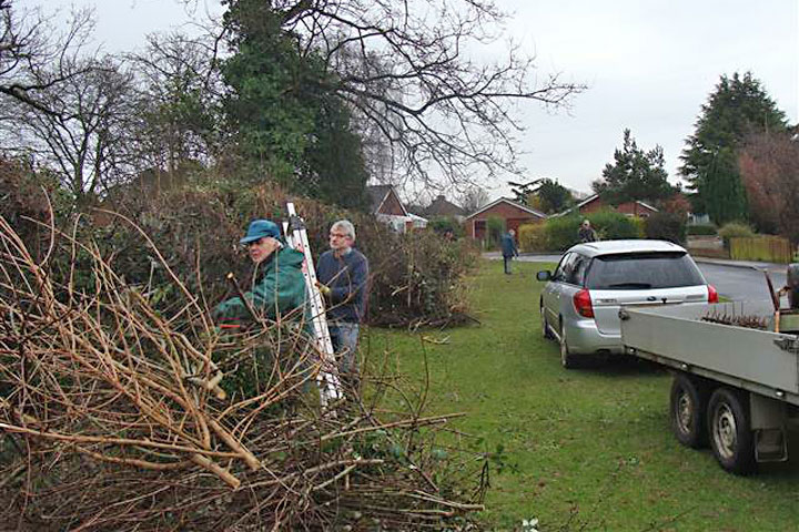 Lingwood Pond Jan 2015