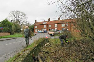Lingwood Pond Jan 2016