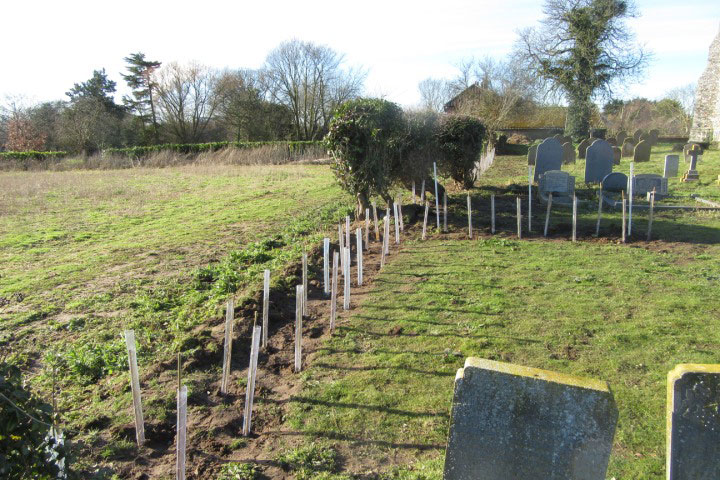 Limpenhoe Churchyard 2 Feb 2019