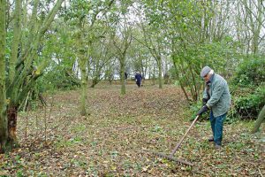 Moulton Pit Wood Mar 2015