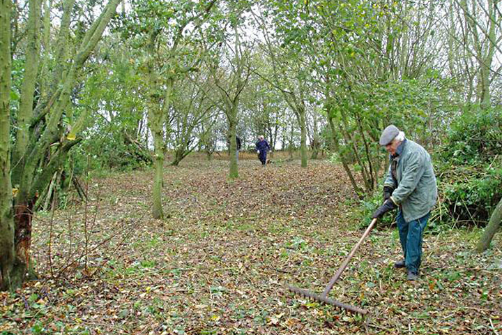 Moulton Pit Wood Mar 2015