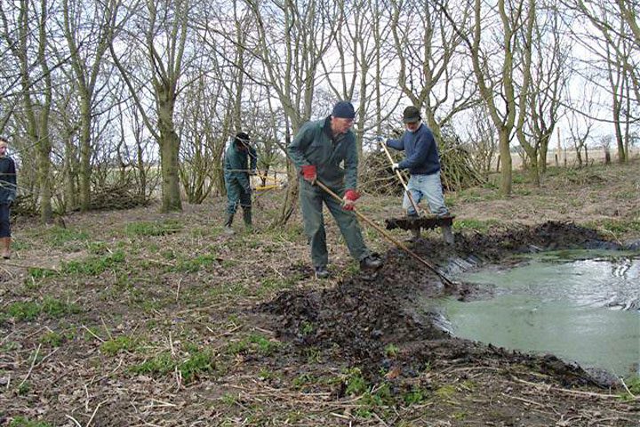 Moulton Pit Wood Mar 2015