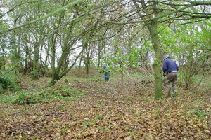 Moulton Pit Wood Mar 2015