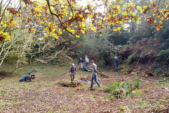 Strumpshaw Stone Pit Oct 2015