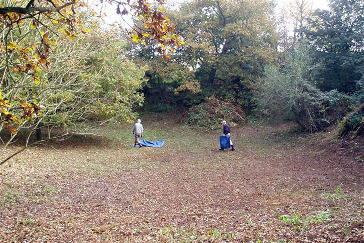 Strumpshaw Stone Pit Oct 2015