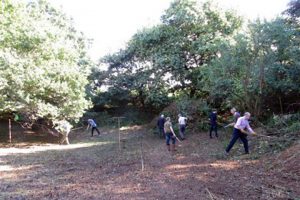 Strumpshaw Stone Pit Oct 2016